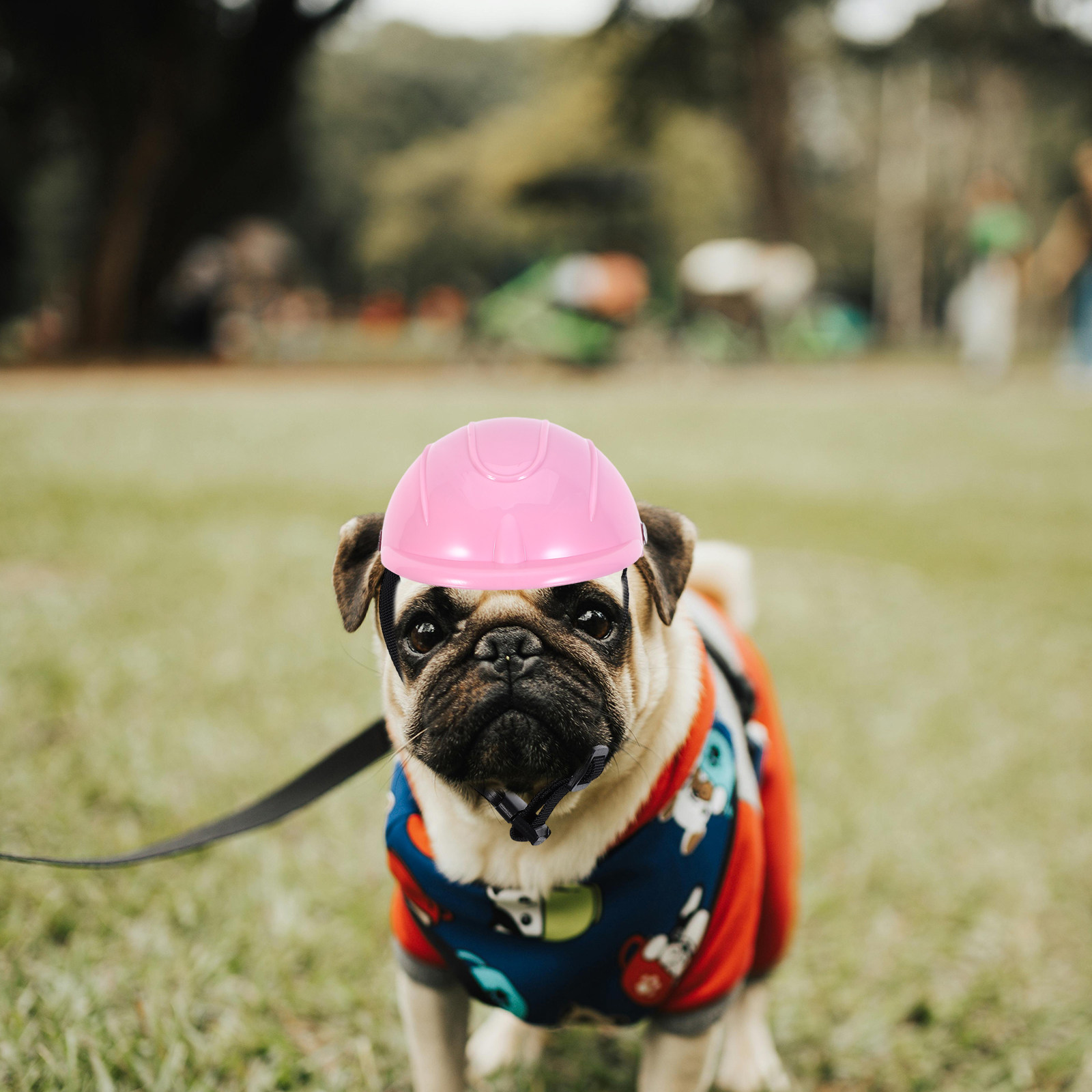 Small Dog Adjustable Pet Safet - đánh giá và giá Motorcycle Gear Dogs