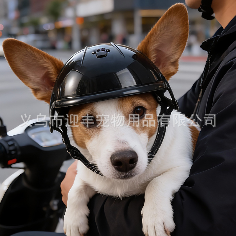 Pink Motorcycle Pet Helmet wit - đánh giá và giá Motorcycle Gear Dogs