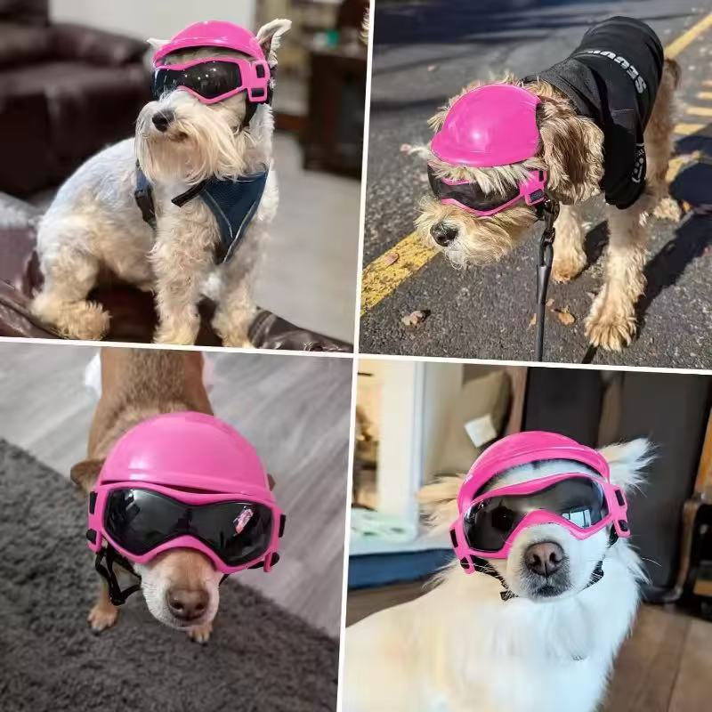 Dog Motorcycle Helmet Goggles  - đánh giá và giá Motorcycle Gear Dogs