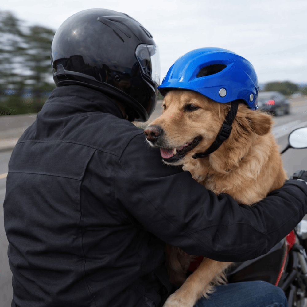Pet Headgear Adjustable Dog He - đánh giá và giá Motorcycle Gear Dogs